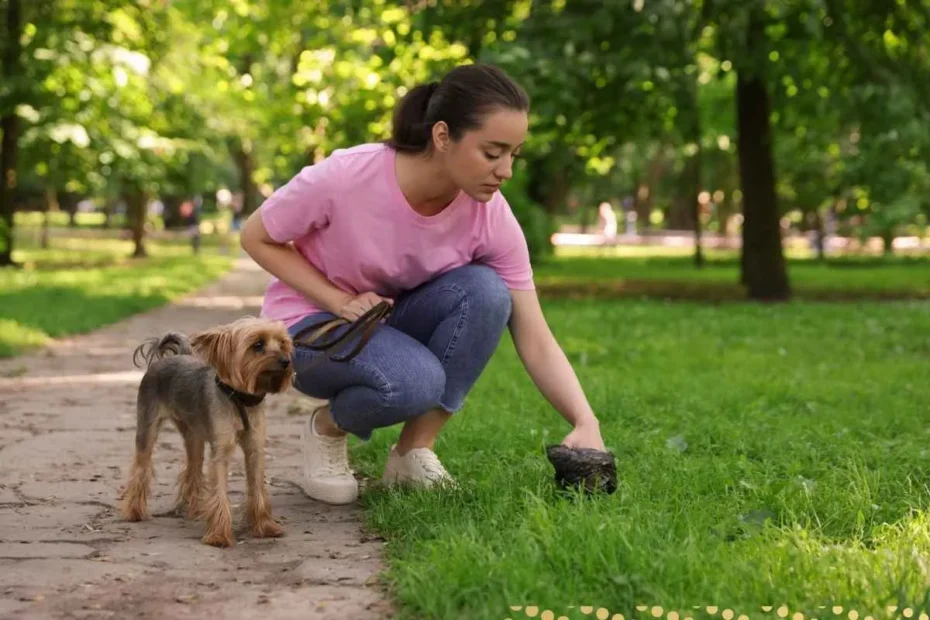 what-is-the-spiritual-meaning-of-stepping-on-dog-poop